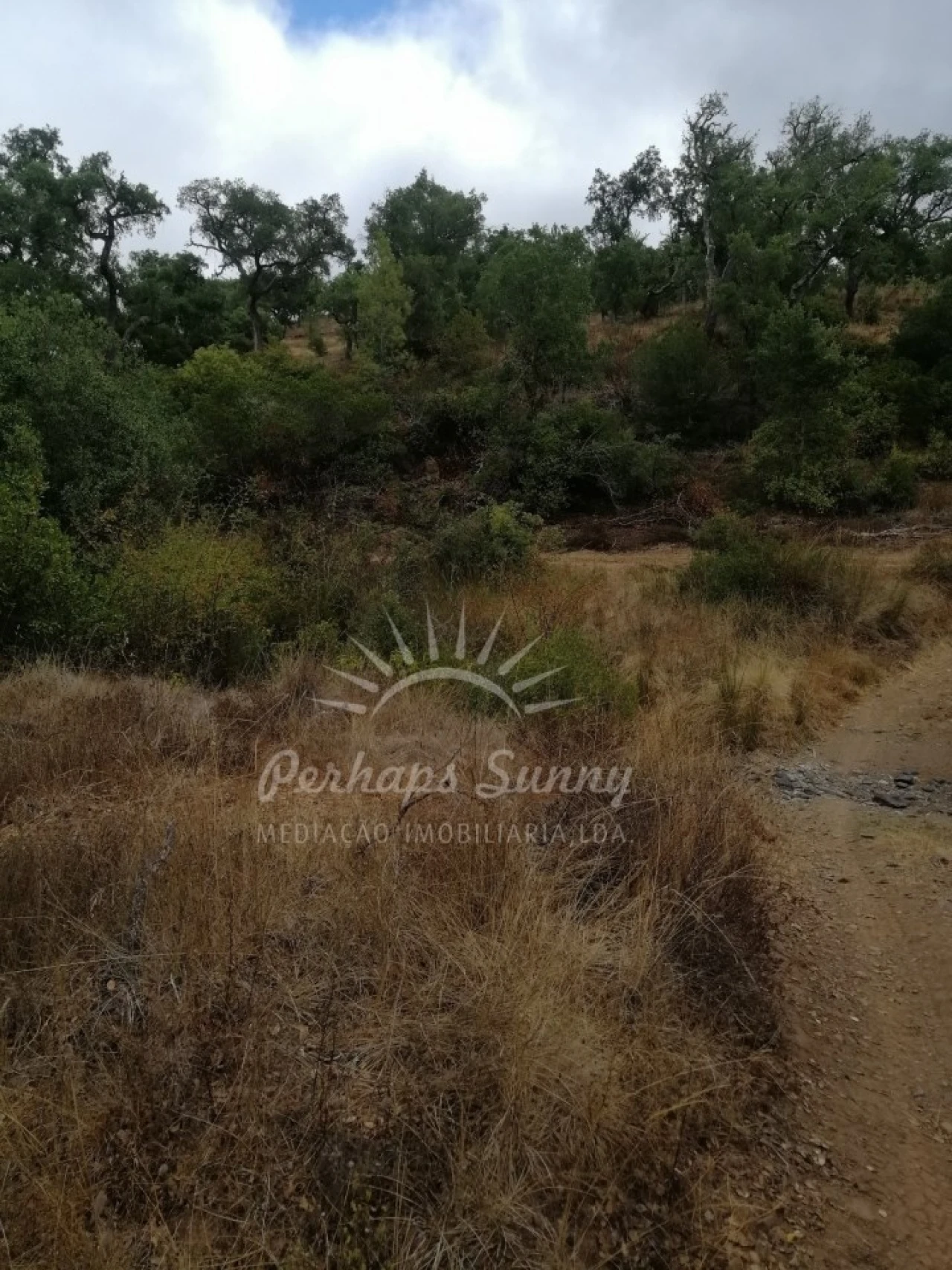 Terreno Agricola ou Rústico para Venda em Grândola e Santa Margarida da Serra Foto 3