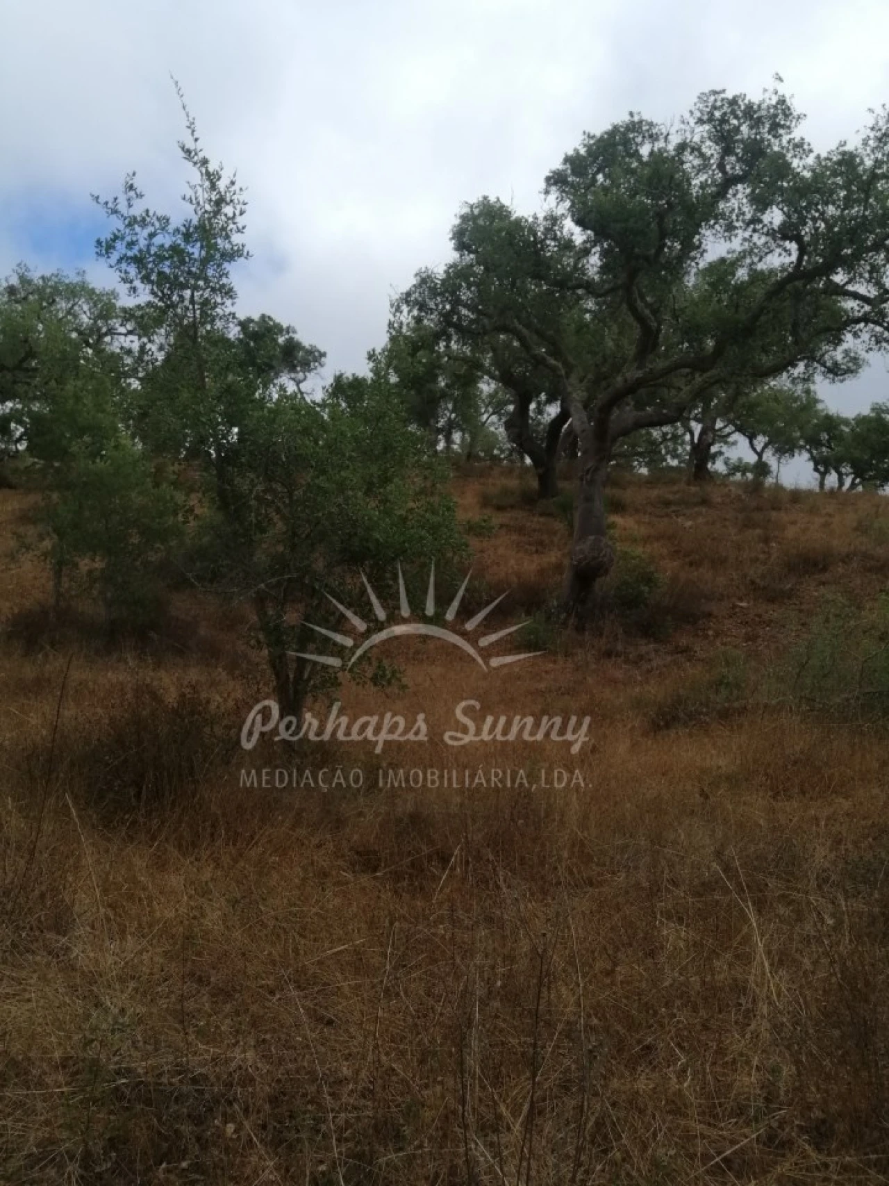 Terreno Agricola ou Rústico para Venda em Grândola e Santa Margarida da Serra Foto 5