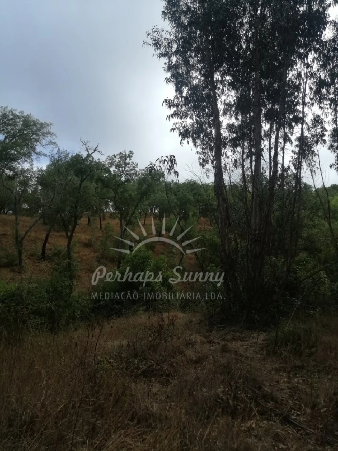 Terreno Agricola ou Rústico para Venda em Grândola e Santa Margarida da Serra Foto 9