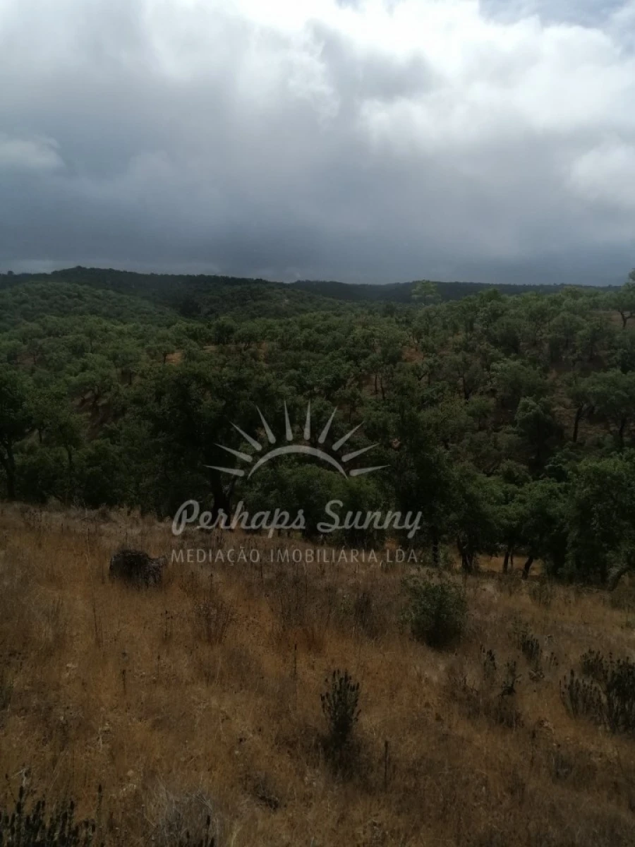Terreno Agricola ou Rústico para Venda em Grândola e Santa Margarida da Serra Foto 2