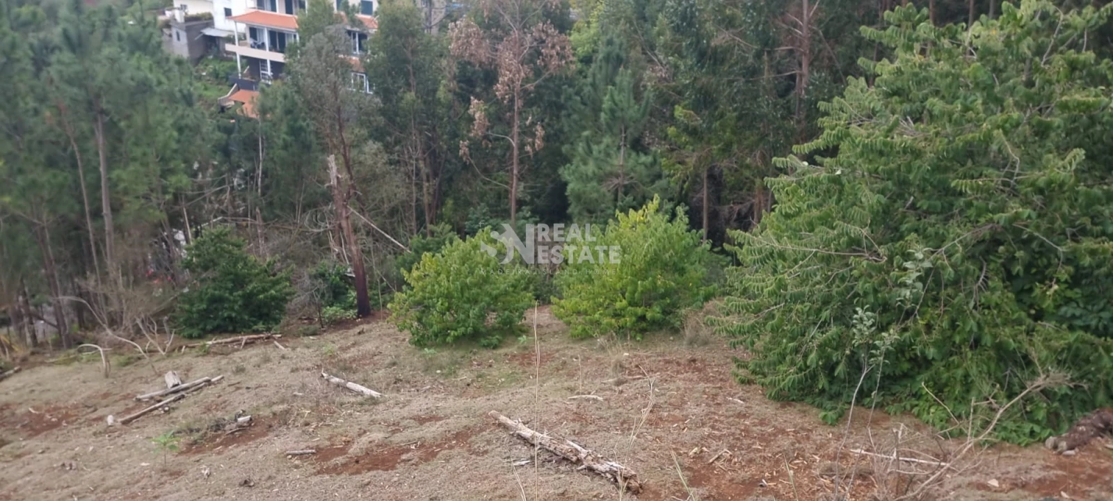 Moradia T3 para Venda em Gaula Foto 50