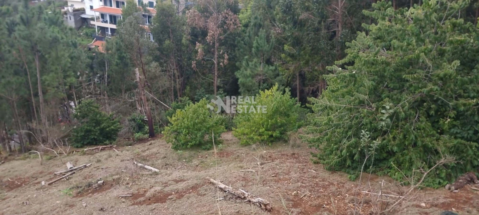 Moradia T3 para Venda em Gaula Foto 47