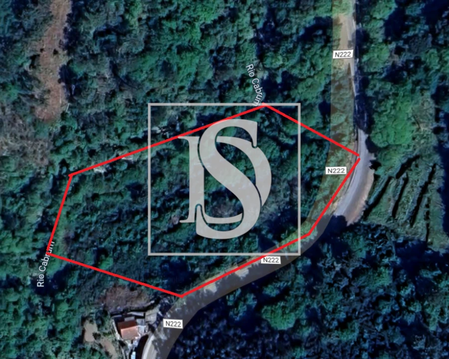 Terreno para Venda em Freigil e Miomães Foto 1