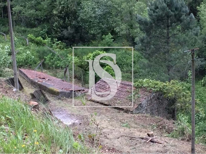 Terreno para Venda em Freigil e Miomães Foto 6