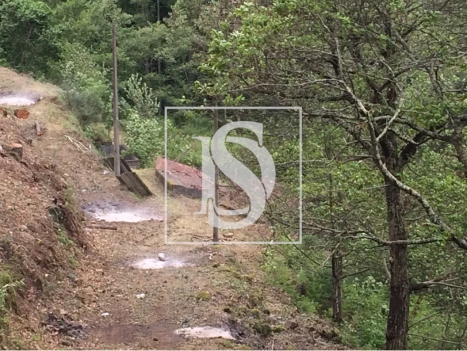 Terreno para Venda em Freigil e Miomães Foto 5