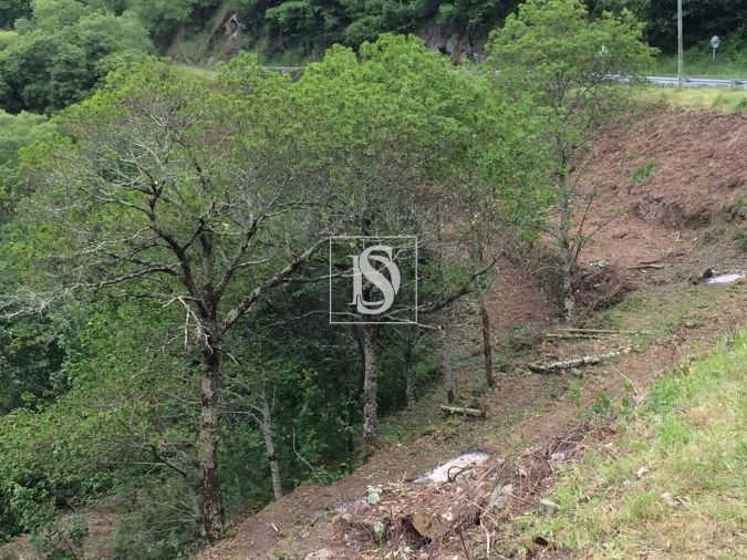 Terreno para Venda em Freigil e Miomães Foto 2