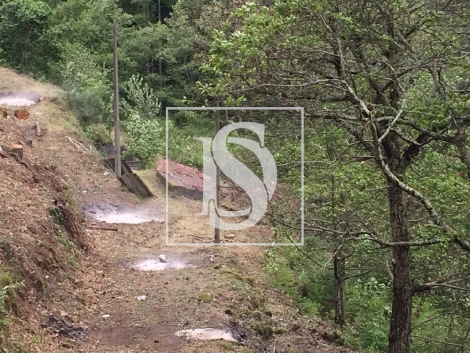 Terreno para Venda em Freigil e Miomães Foto 5