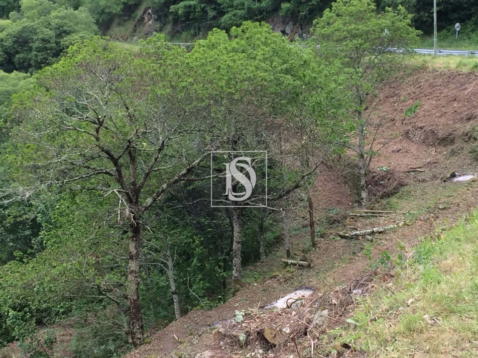 Terreno para Venda em Freigil e Miomães Foto 2