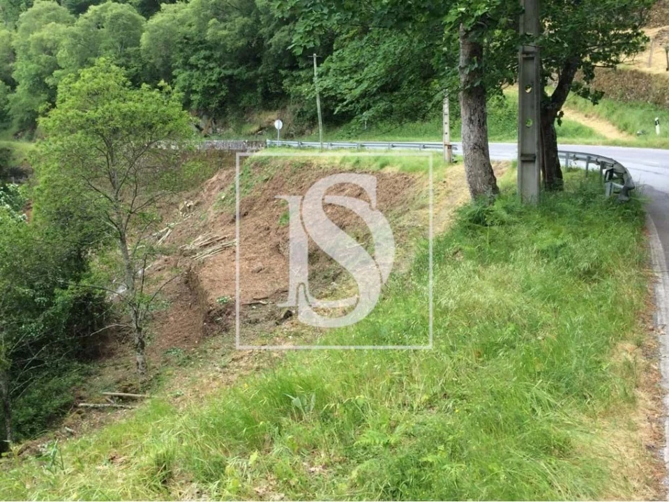 Terreno para Venda em Freigil e Miomães Foto 4