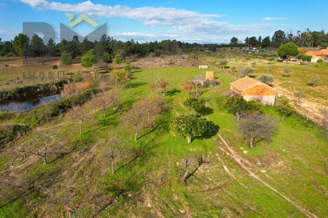Terreno Agricola ou Rústico para Venda em Escalos de Baixo e Mata Foto 4