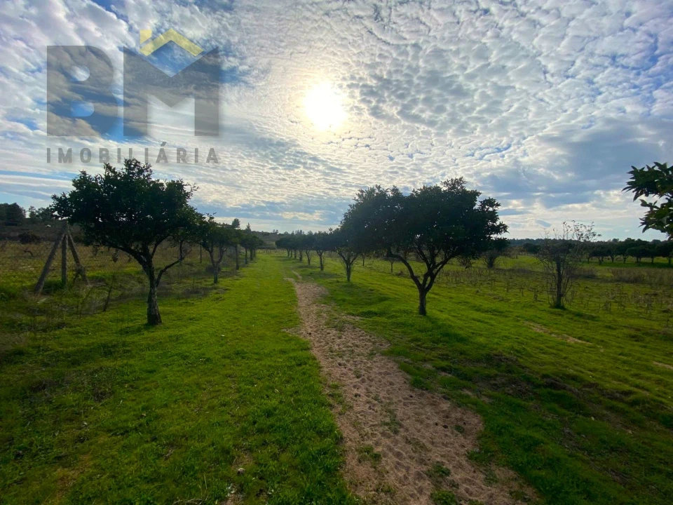 Terreno Agricola ou Rústico para Venda em Escalos de Baixo e Mata Foto 19