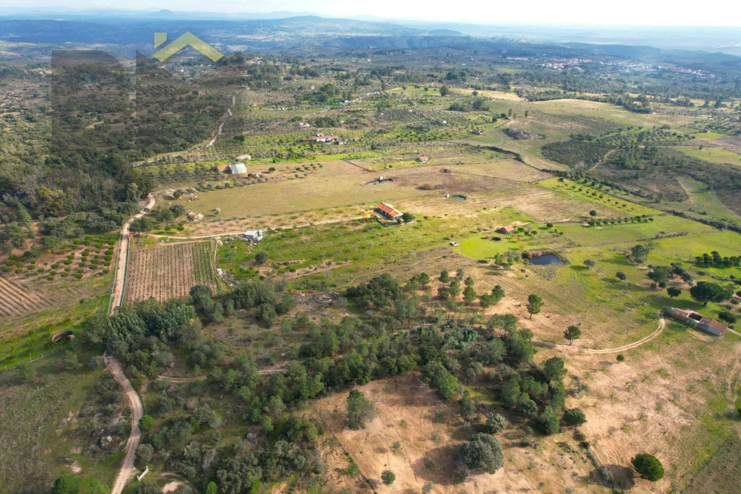 Terreno Agricola ou Rústico para Venda em Escalos de Baixo e Mata Foto 14