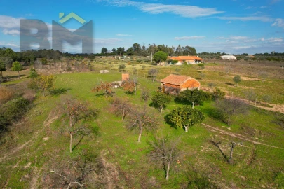 Terreno Agricola ou Rústico para Venda em Escalos de Baixo e Mata