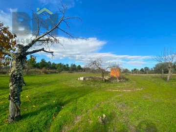 Terreno Agricola ou Rústico para Venda em Escalos de Baixo e Mata