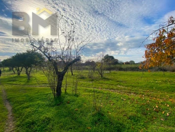 Terreno Agricola ou Rústico para Venda em Escalos de Baixo e Mata