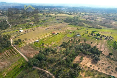 Terreno Agricola ou Rústico para Venda em Escalos de Baixo e Mata
