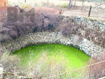 Terreno Agricola ou Rústico para Venda em Escalos de Baixo e Mata