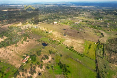 Terreno Agricola ou Rústico para Venda em Escalos de Baixo e Mata