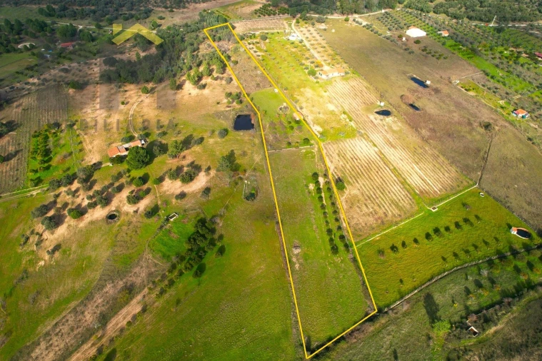Terreno Agricola ou Rústico para Venda em Escalos de Baixo e Mata Foto 3