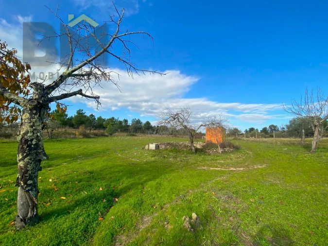 Terreno Agricola ou Rústico para Venda em Escalos de Baixo e Mata Foto 8
