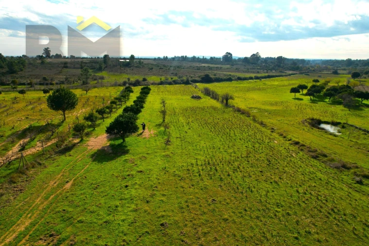 Terreno Agricola ou Rústico para Venda em Escalos de Baixo e Mata Foto 7