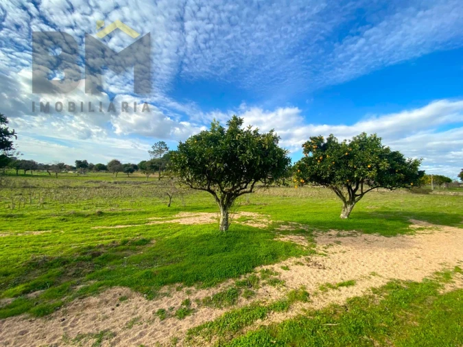 Terreno Agricola ou Rústico para Venda em Escalos de Baixo e Mata Foto 10