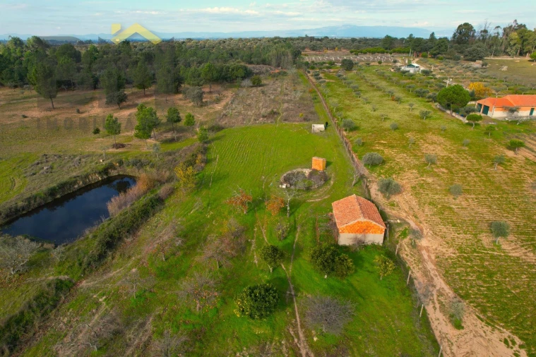 Terreno Agricola ou Rústico para Venda em Escalos de Baixo e Mata Foto 17