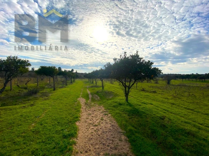 Terreno Agricola ou Rústico para Venda em Escalos de Baixo e Mata Foto 11
