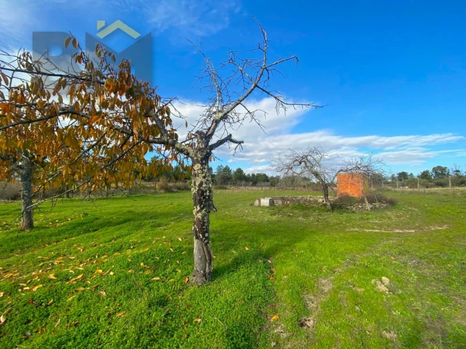 Terreno Agricola ou Rústico para Venda em Escalos de Baixo e Mata Foto 9