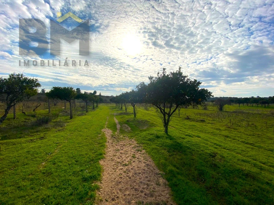 Terreno Agricola ou Rústico para Venda em Escalos de Baixo e Mata Foto 11