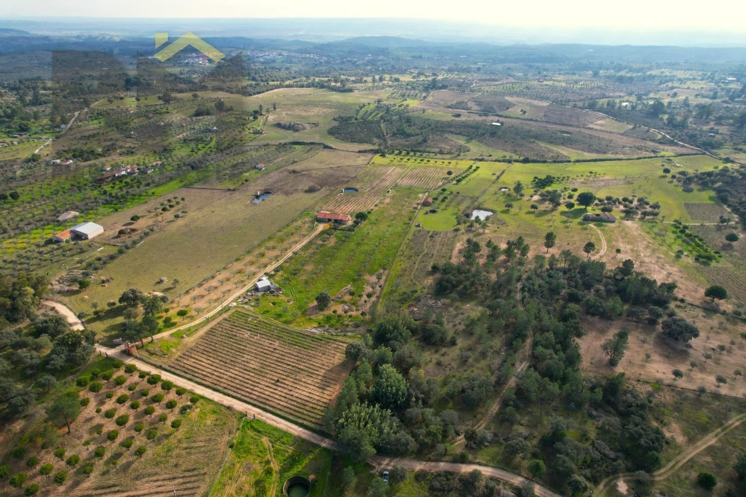 Terreno Agricola ou Rústico para Venda em Escalos de Baixo e Mata Foto 16