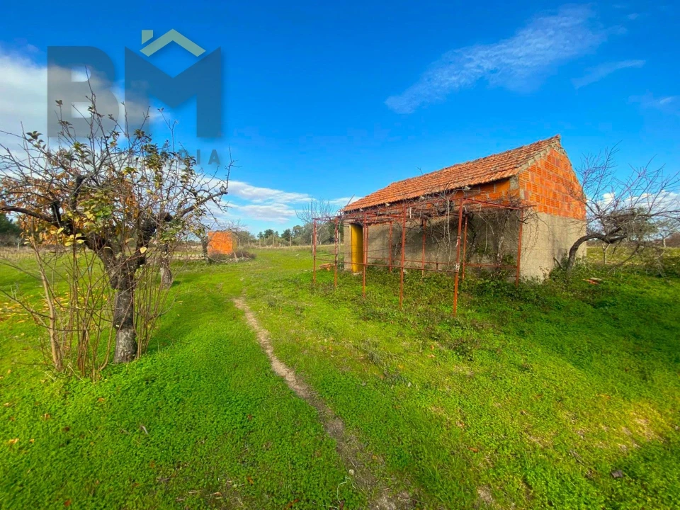 Terreno Agricola ou Rústico para Venda em Escalos de Baixo e Mata Foto 1