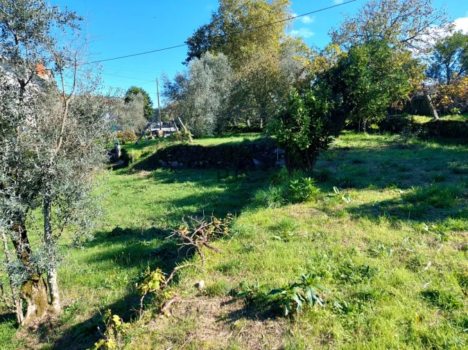 Terreno Agricola ou Rústico para Venda em Ventosa Foto 2