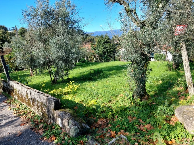 Terreno Agricola ou Rústico para Venda em Ventosa Foto 8