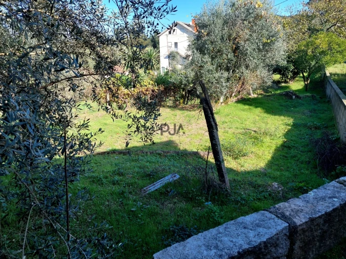 Terreno Agricola ou Rústico para Venda em Ventosa Foto 4