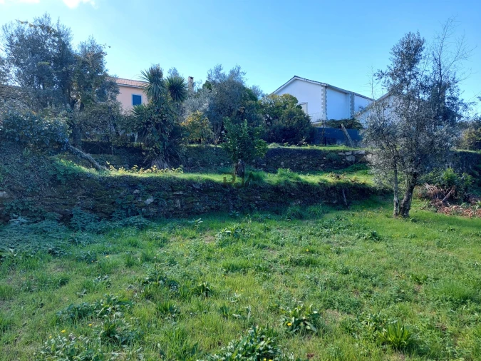 Terreno Agricola ou Rústico para Venda em Ventosa Foto 5