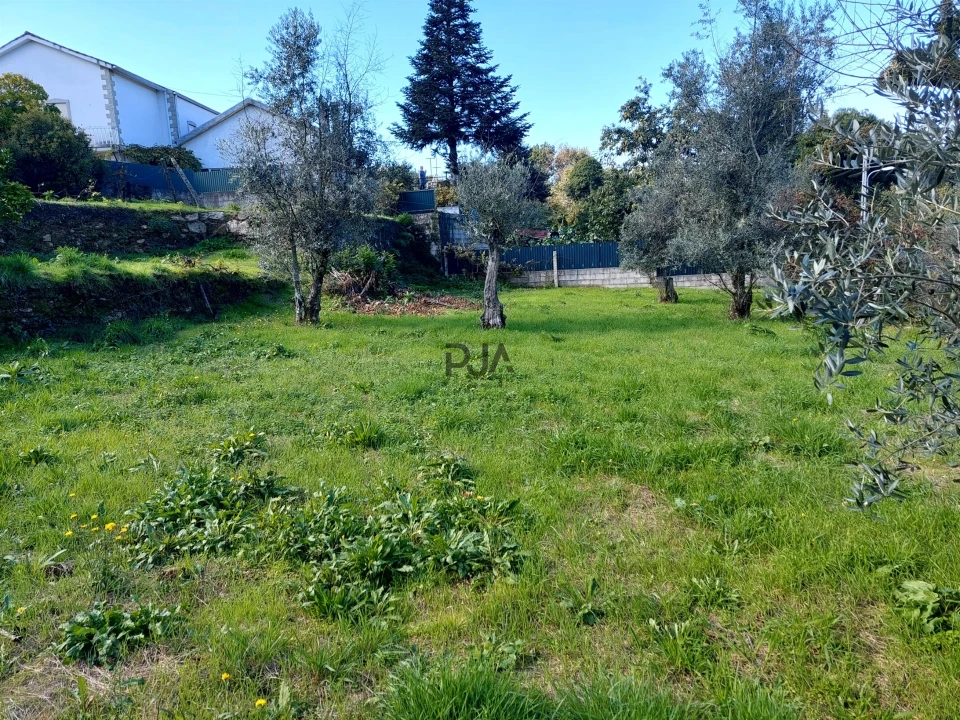 Terreno Agricola ou Rústico para Venda em Ventosa Foto 6