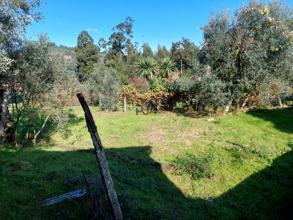 Terreno Agricola ou Rústico para Venda em Ventosa Foto 7