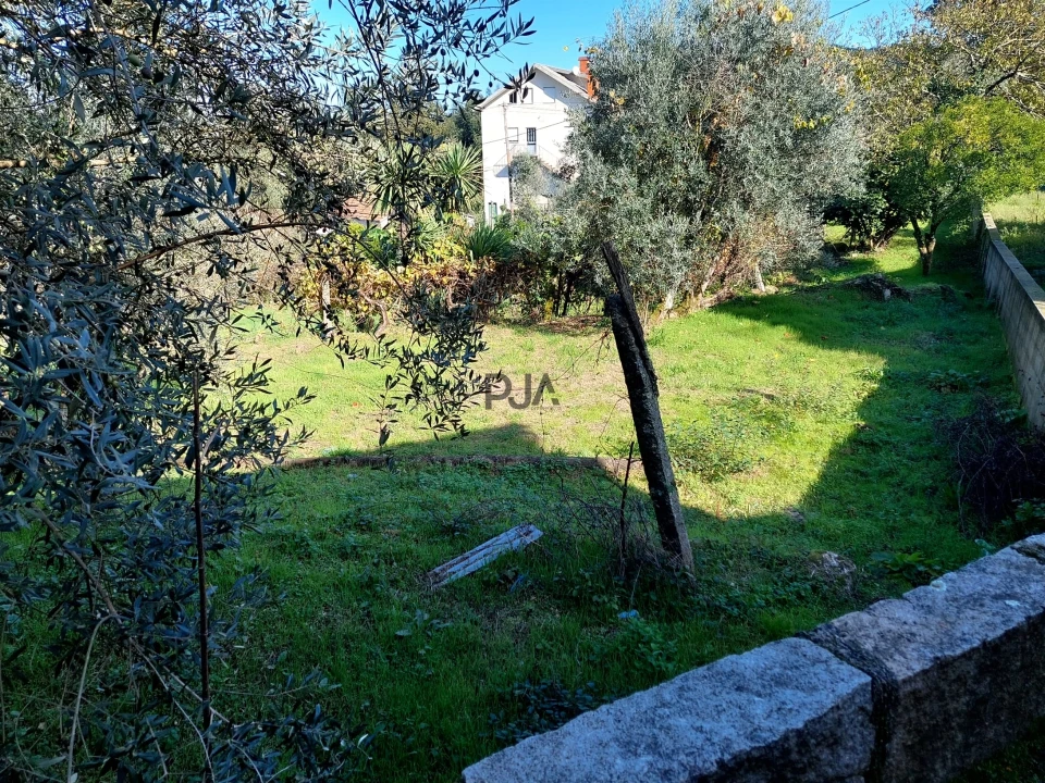 Terreno Agricola ou Rústico para Venda em Ventosa Foto 4