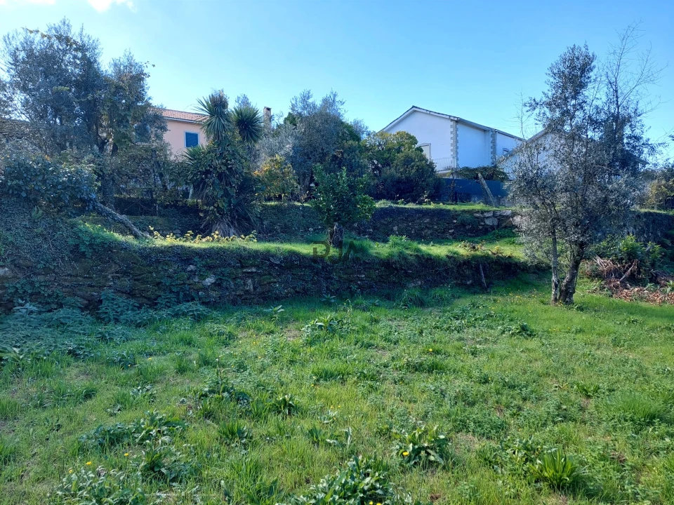 Terreno Agricola ou Rústico para Venda em Ventosa Foto 5