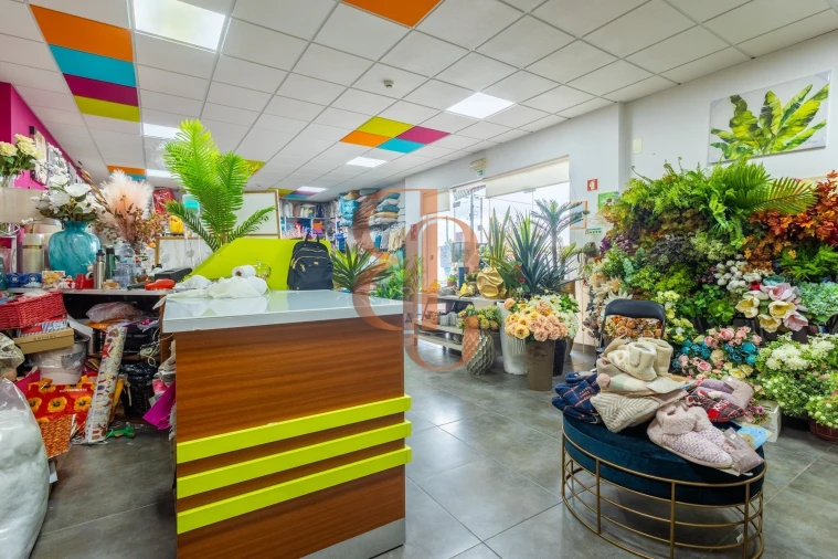 Negócio para Venda em Vila Chã de Ourique Foto 17