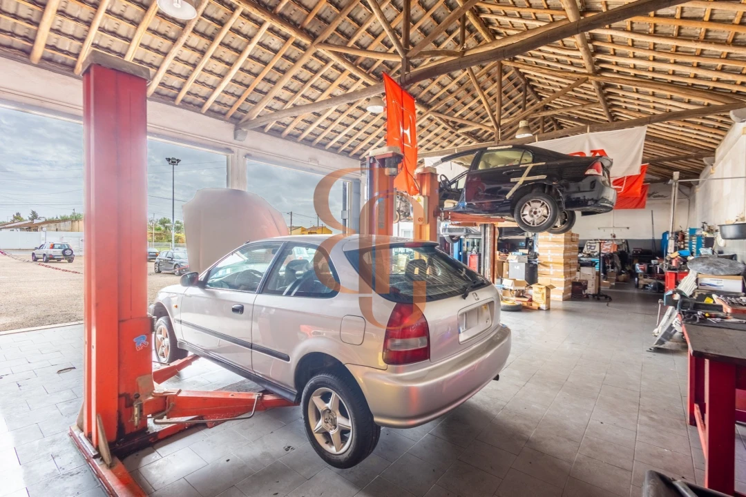 Negócio para Venda em Vila Chã de Ourique Foto 10