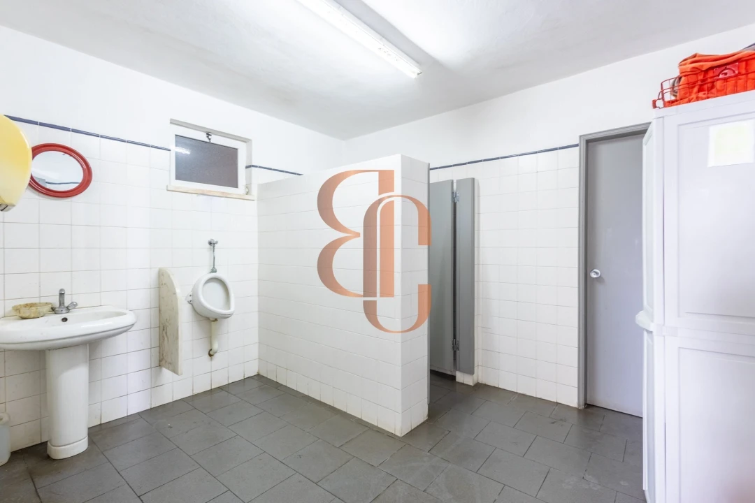 Negócio para Venda em Vila Chã de Ourique Foto 15