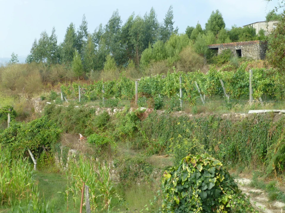 Moradia T0 para Venda em Barbeita Foto 2