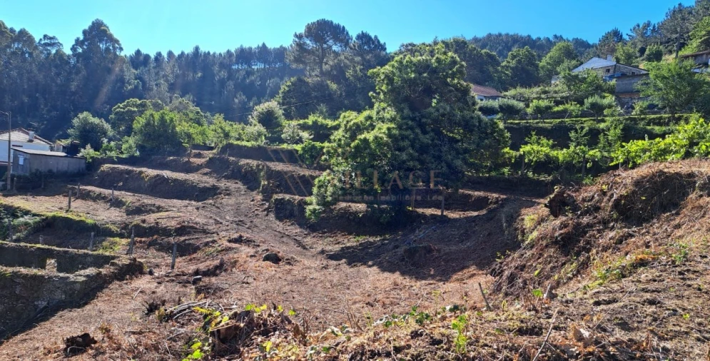 Terreno para Venda em Covas Foto 2