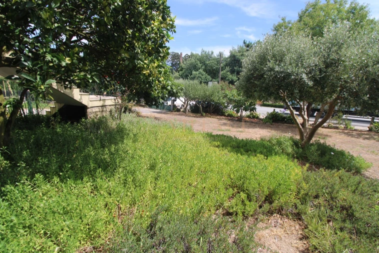 Moradia T5 para Venda em Campos e Vila Meã Foto 8