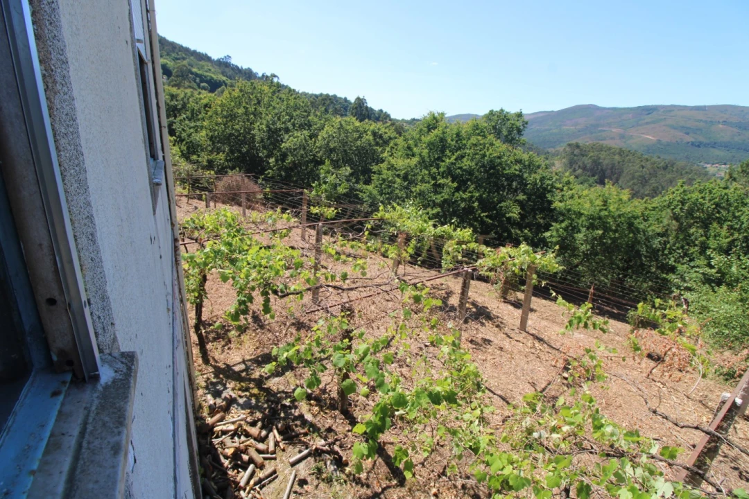 Moradia T4 para Venda em Covas Foto 14