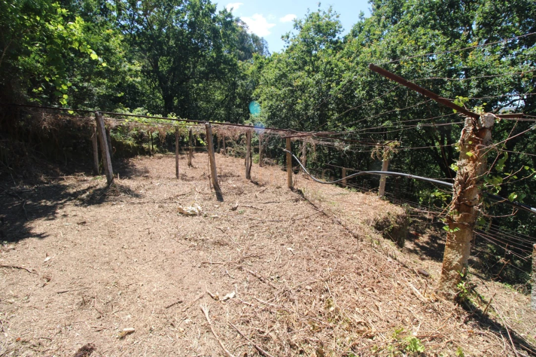 Moradia T4 para Venda em Covas Foto 27