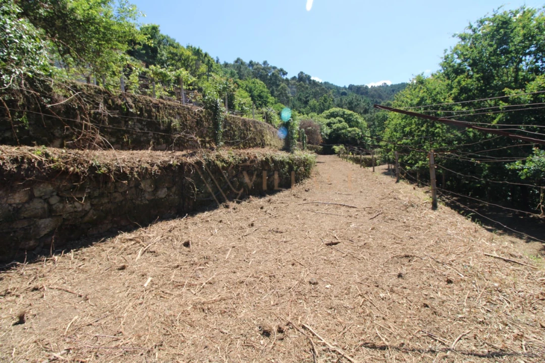 Moradia T4 para Venda em Covas Foto 28