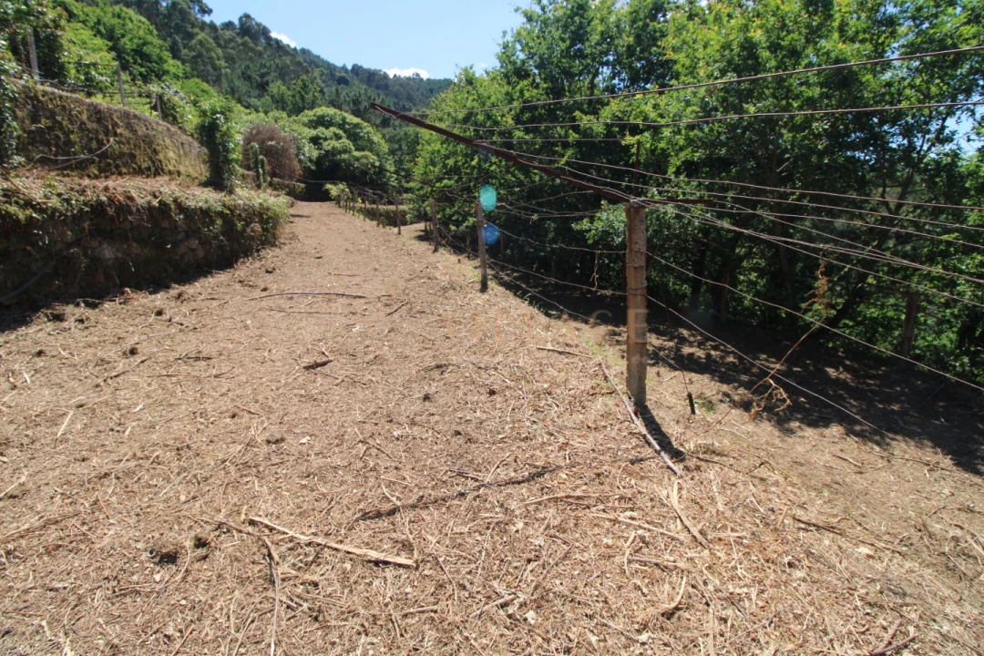 Moradia T4 para Venda em Covas Foto 30